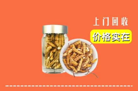 收购资讯:洛阳涧西区回收散虫草