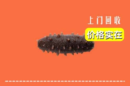 收购资讯:洛阳涧西区回收海参