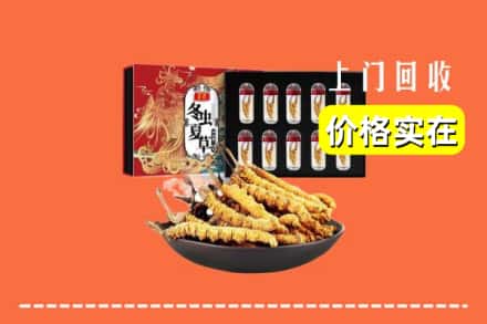 洛阳涧西区回收虫草
